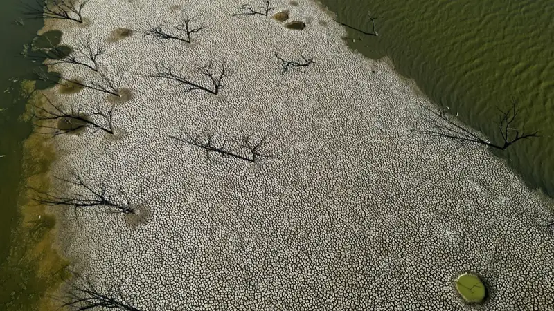 Пиццадағы қияр Жалаңаш порно көрсетілімі