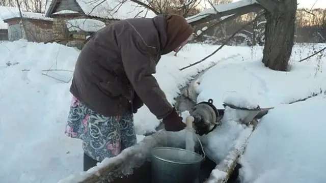Жетісу жұрты