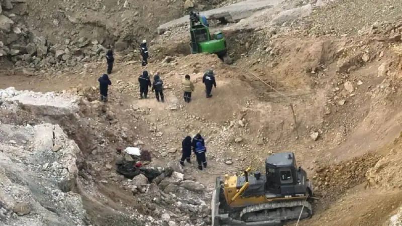 тергеу нәтижесі