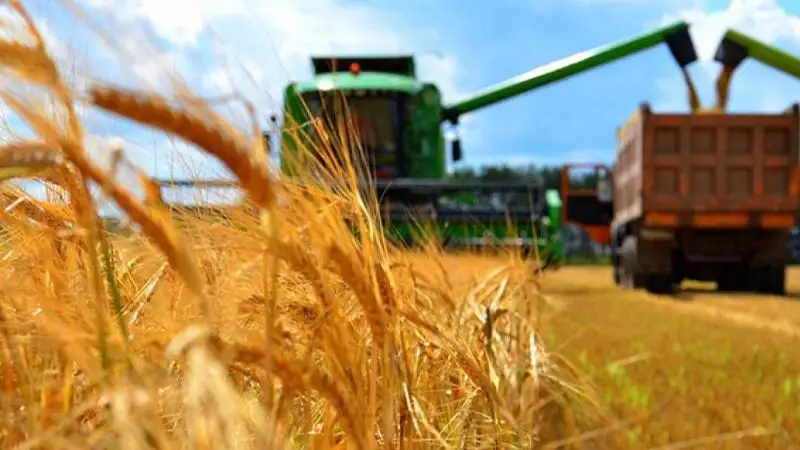 ауыл шаруашылығы