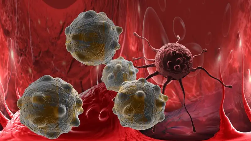 Қатерлі ісік 