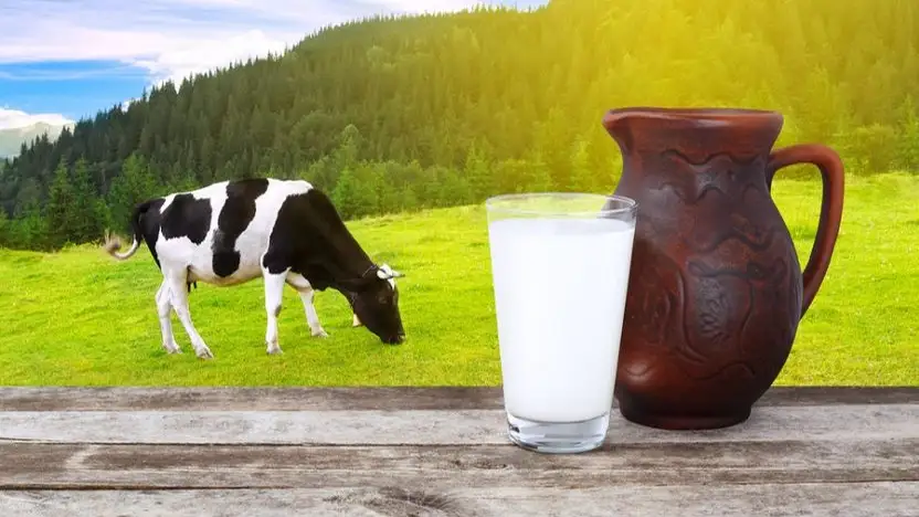 Сұлулардың әдемі порнофотосуреттері Керемет, толық кеуделер