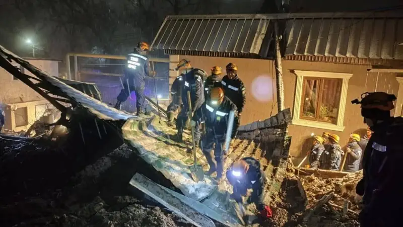 Алматы лай көшкіні