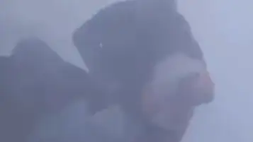 Абай облысы