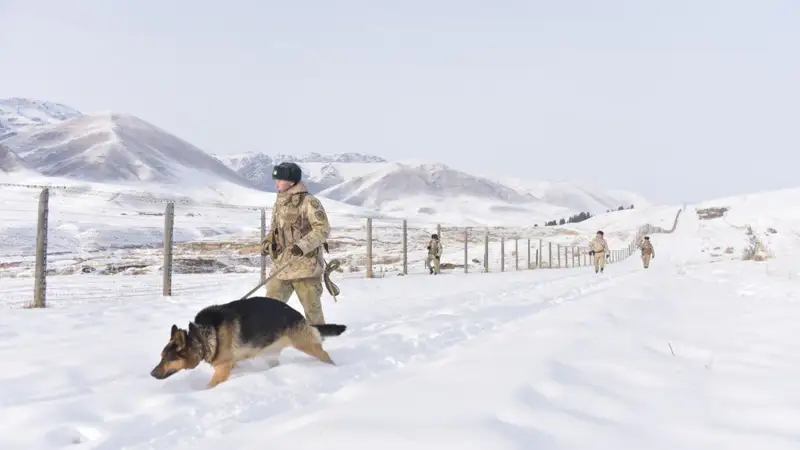Есірткі саудасы