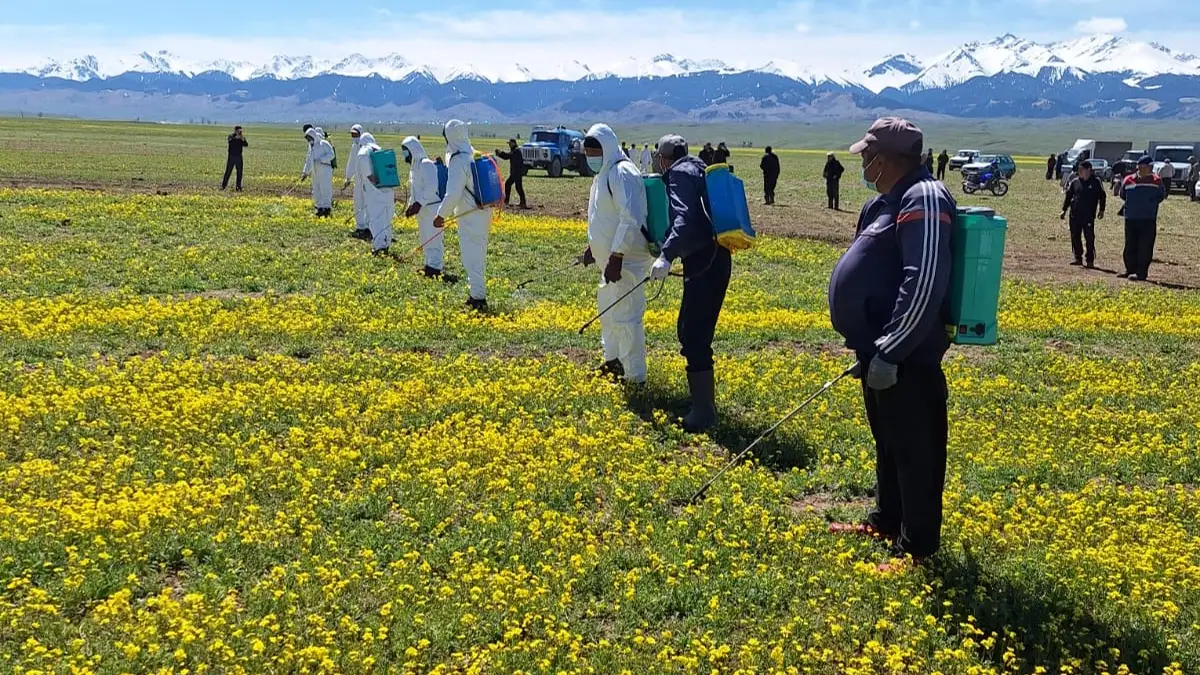 Секс сиськи комикстері