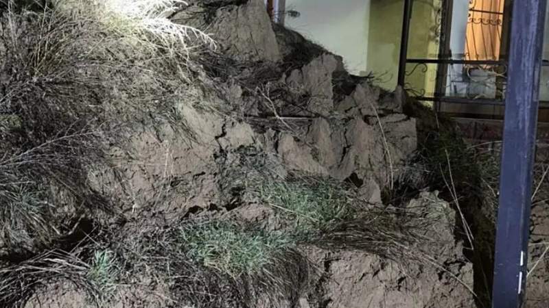 лай көшкіні