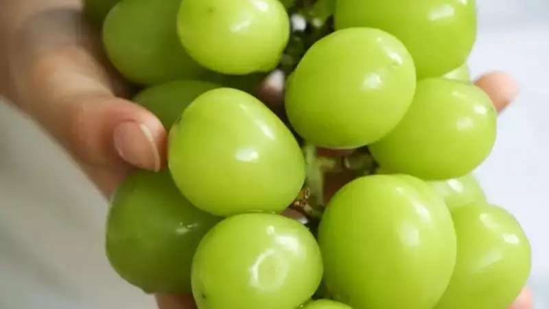 Корей жүзімі