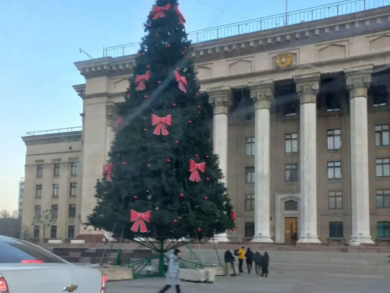 Алматы шырша