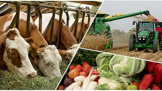 агроөнеркәсіп кешені