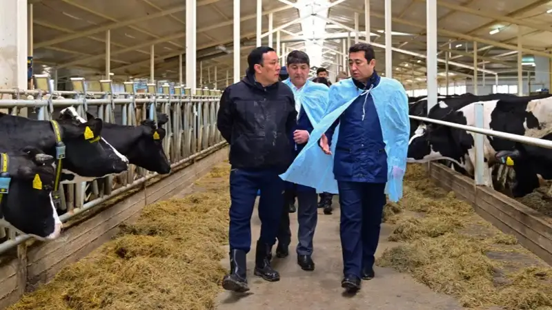 Айдарбек Сапаров