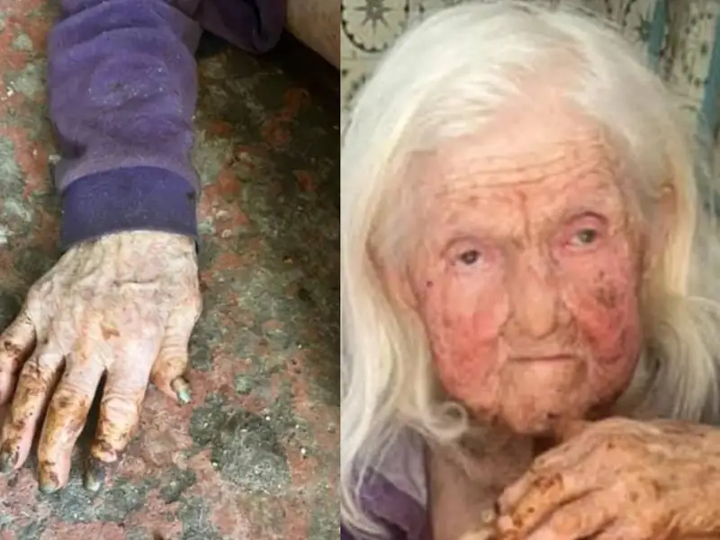 Тыл ардагері