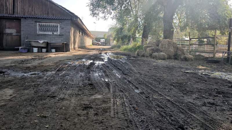 Алматы ипподромы