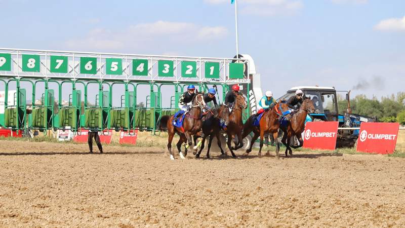 Алматы ипподромы