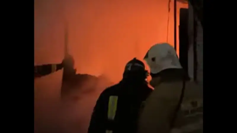 Дина базары