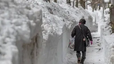 Жапония қар