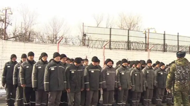 Рақымшылық