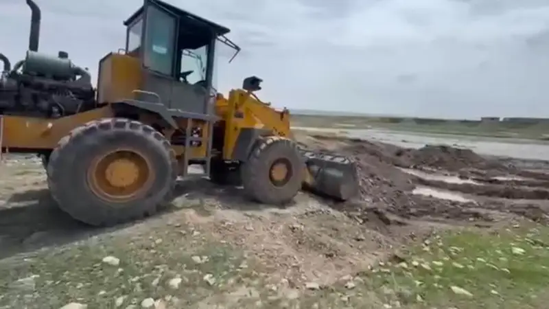 Полиция