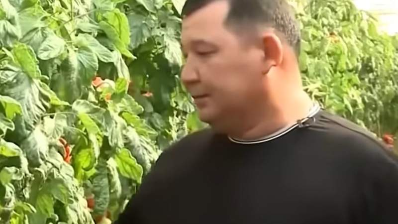 1 1