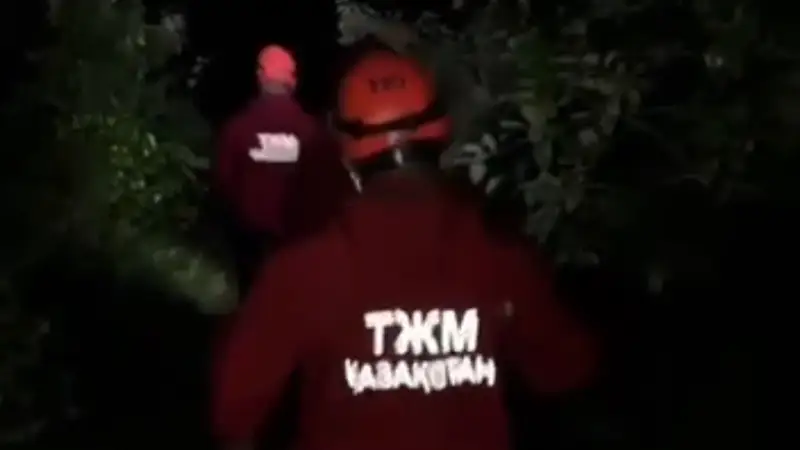 ТЖМ