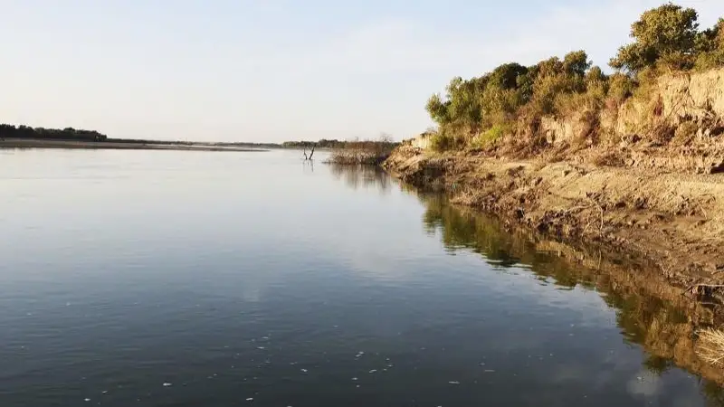 Сырдария