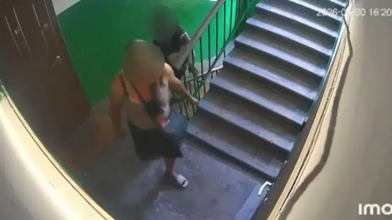 Полиция