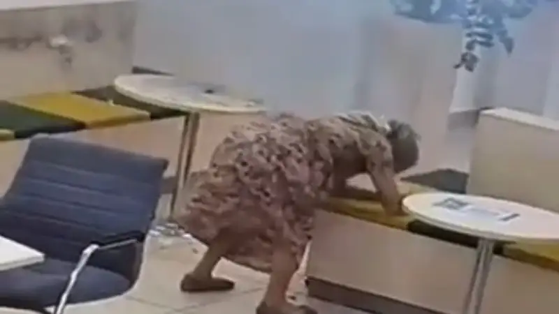 Банк