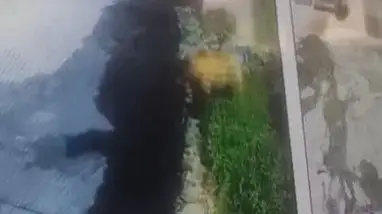 Р