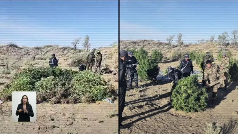 Полиция