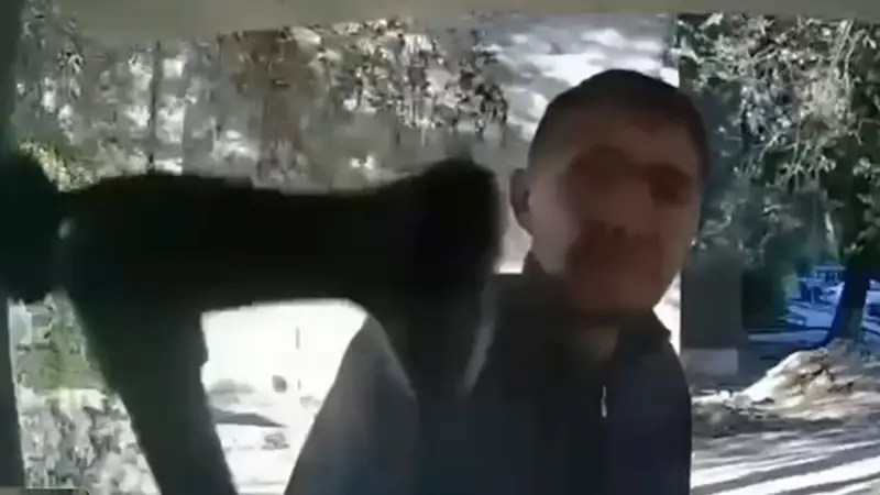 Полиция
