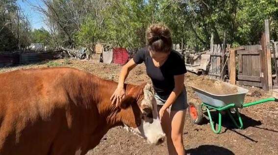 София Билык